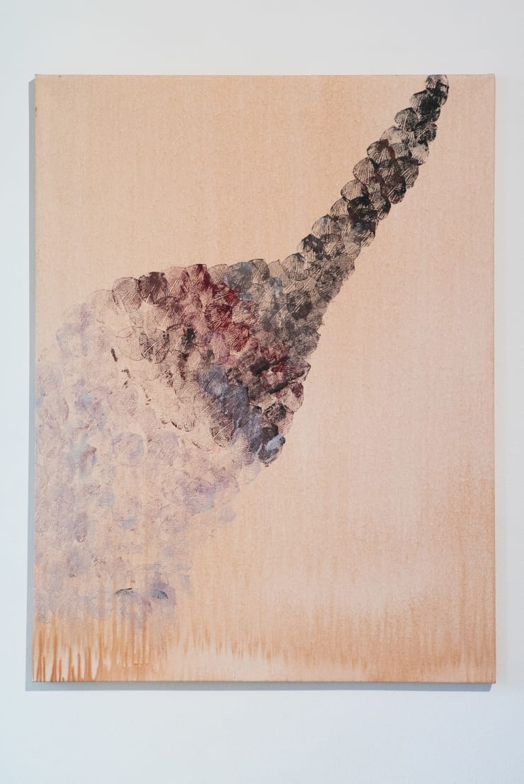 Joana Kairienė, Pangolin, 2020