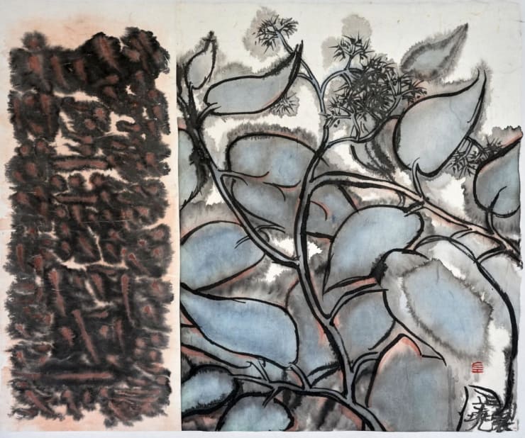 Zhengyao Zuo Stemona Root $ 3,200 Inquire →