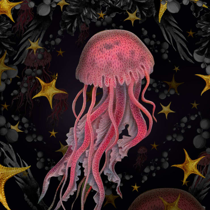 David Krovblit Jellyfish $9,500 Inquire →