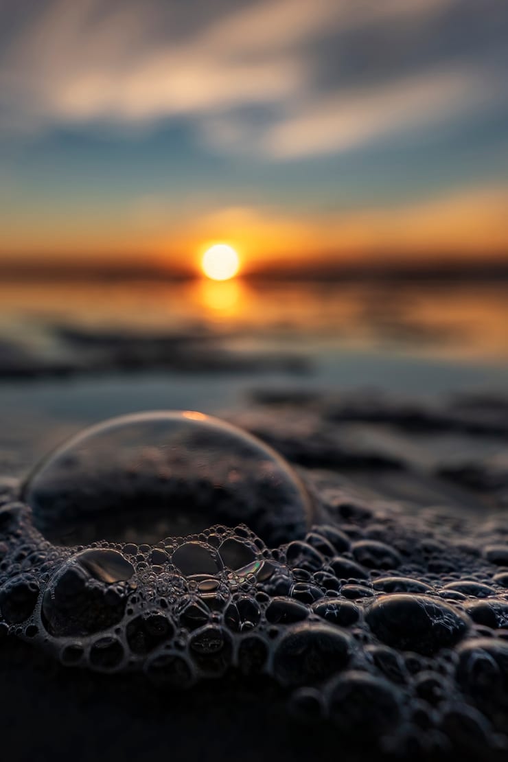 Jud Hogan Delicate Webs Inquire →