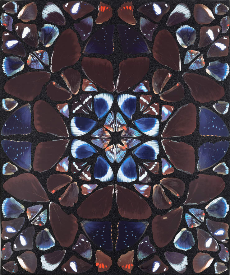 Damien Hirst, Deific, 2013