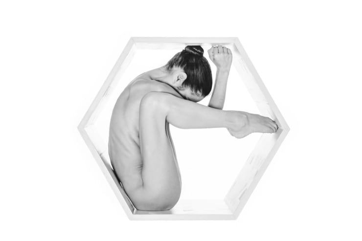 Daisy Seilern, Hexagon, 2024