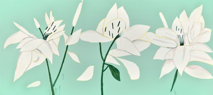 Alex Katz, White Lilies 6, 2025