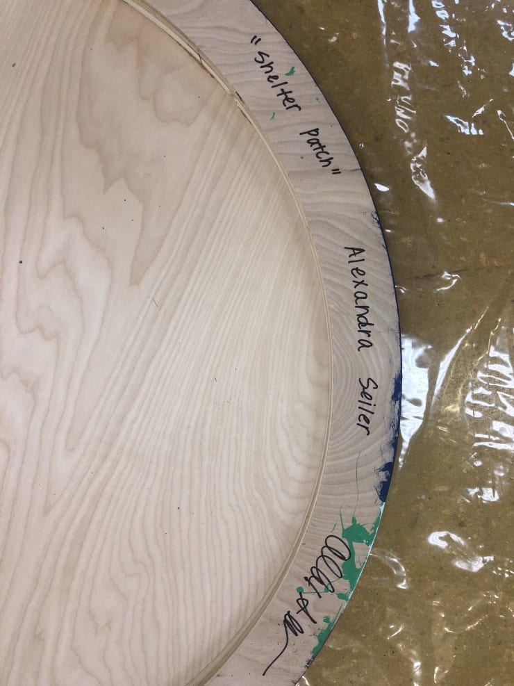 Alexandra Seiler - Shelter Patch, 2019