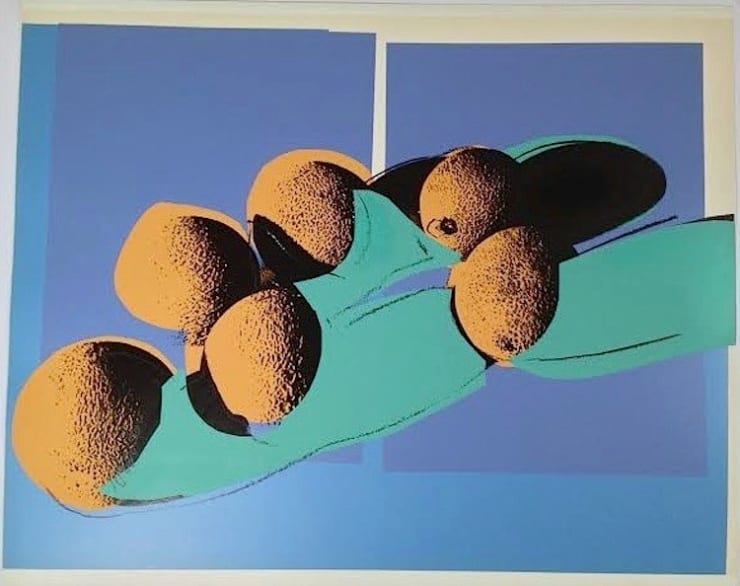 Andy Warhol, Space Fruit: Cantaloupes 1 (F&S ll.201), 1979