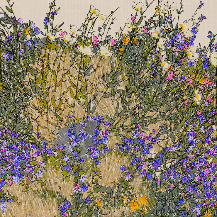 Nat Sarkissian - In Deep Spring #5, 2024