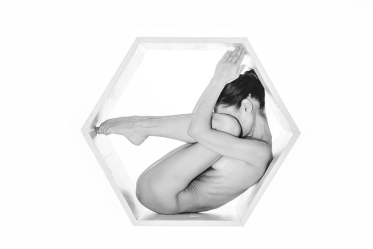 Daisy Seilern, Hexagon, 2024