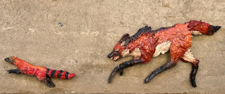 Julio Galindo, Aguará Guazú y meloncillo, 2022