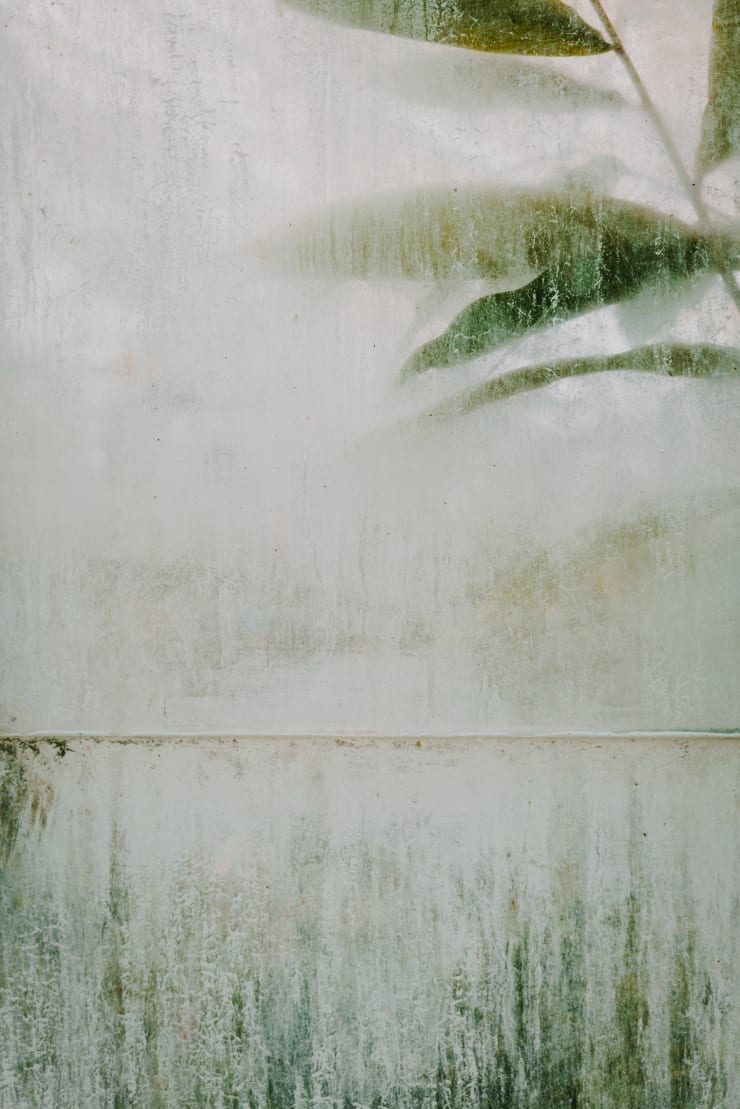 Felix Walters, Untitled, 2007-2008