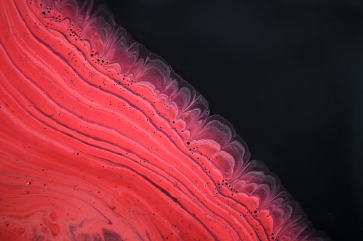 Priya Fry, Untitled, 2011