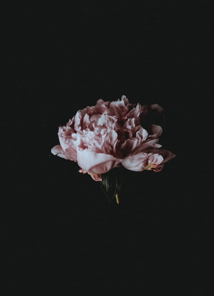 Katrina Forrest, Untitled, 2013