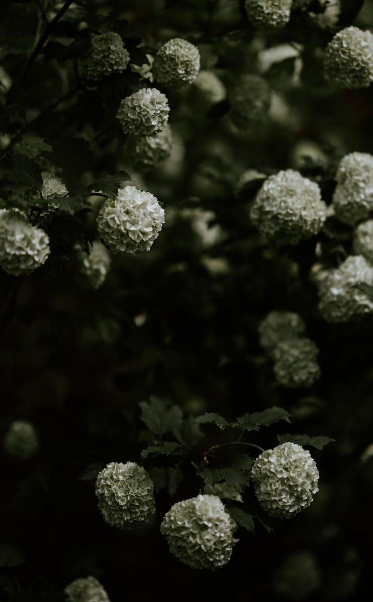 Katrina Forrest, Untitled, 2013