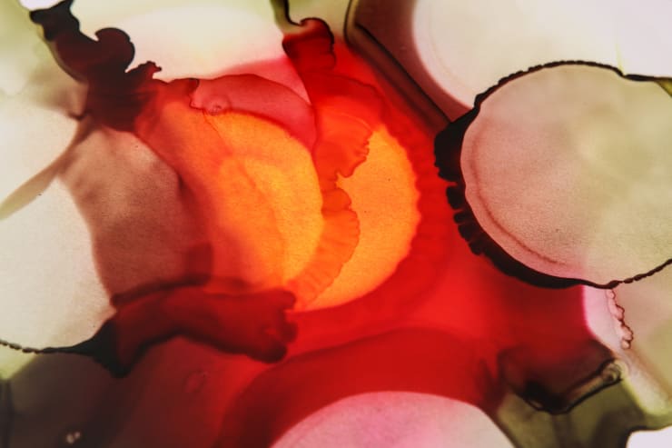 Priya Fry, Untitled, 2011