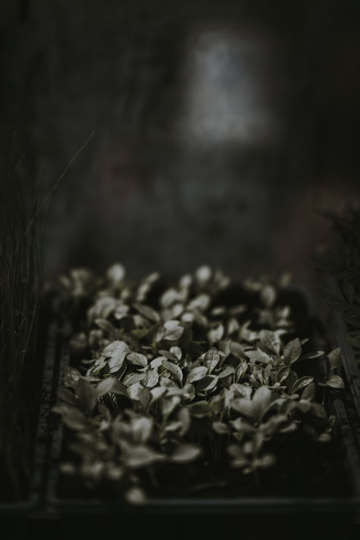 Katrina Forrest, Untitled, 2013