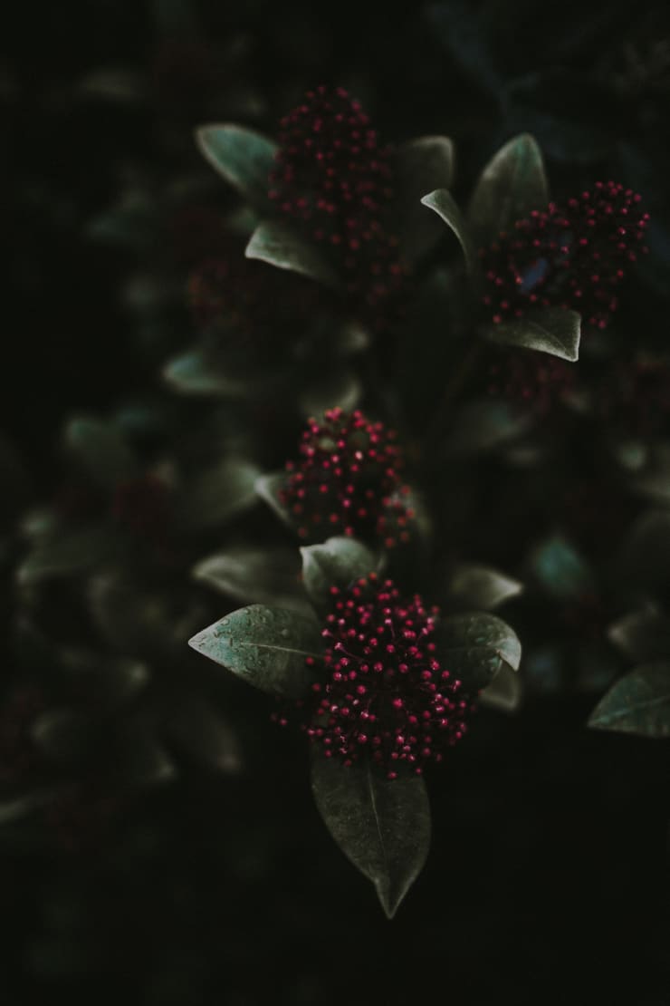 Katrina Forrest, Untitled, 2013