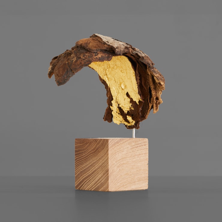 Elpida Hadzi-Vasileva, Segment IV, 2024