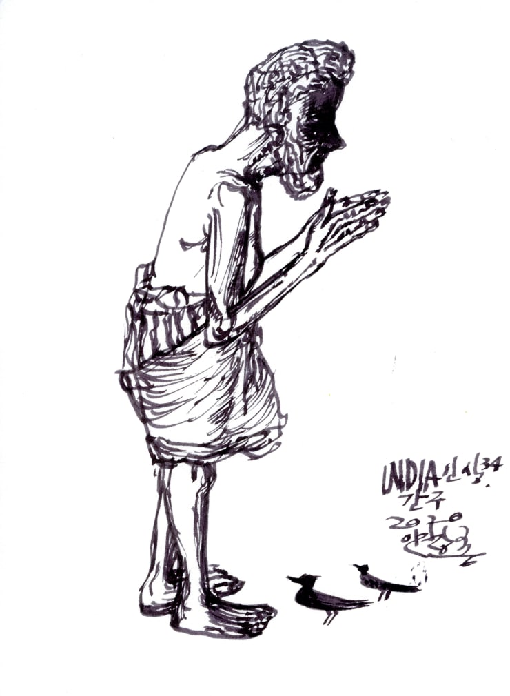 인도풍경 Trip to India