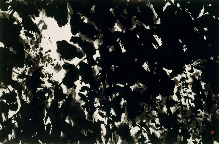 Kang Kyung-Koo Forest, 2000