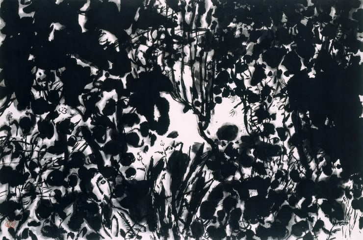 Kang Kyung-Koo Forest, 2001