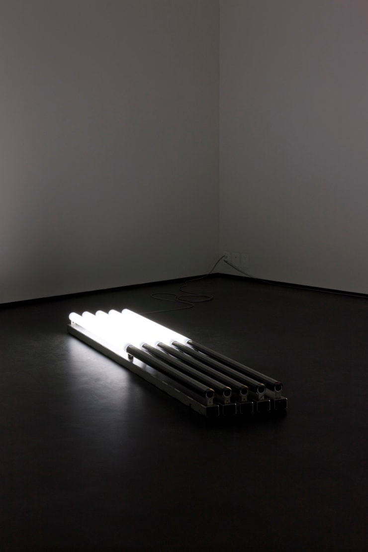 ANDREI MOLODKIN TRANSFORMER NO.V 36, 2013 acrylic tubes filled with crude oil, fluorescent tubes 245 x 45 x 16 cm