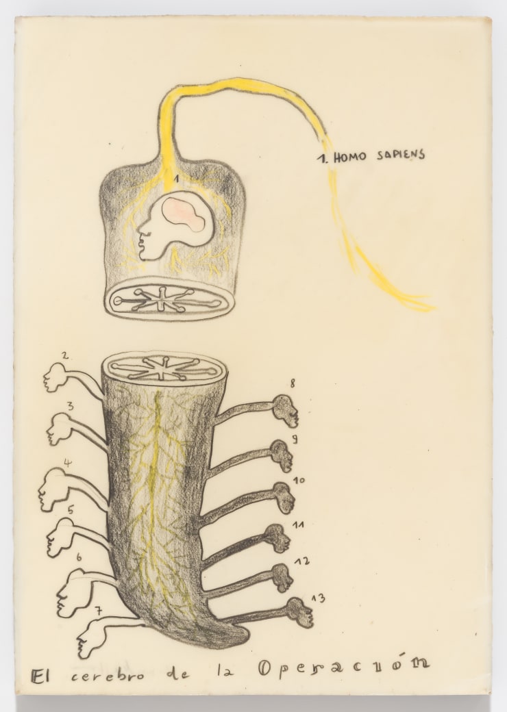 El Cerebro de la Operación