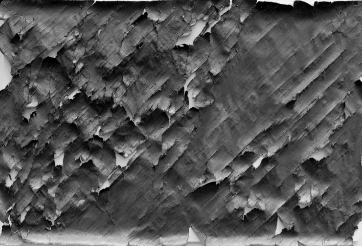Untitled - 0210101