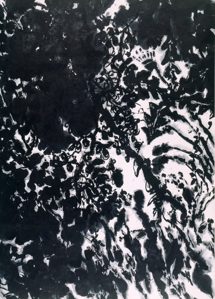 Kang Kyung-Koo Forest, 2001