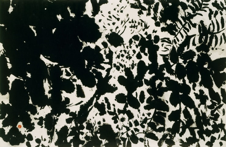 Kang Kyung-Koo Forest, 2000