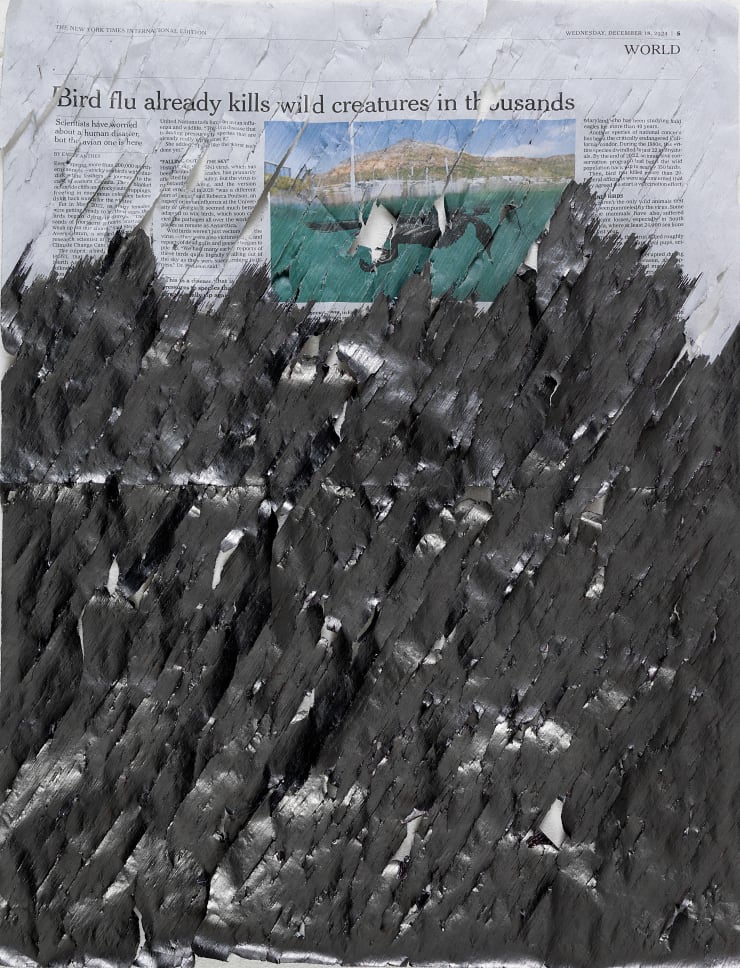 Untitled - 0241223