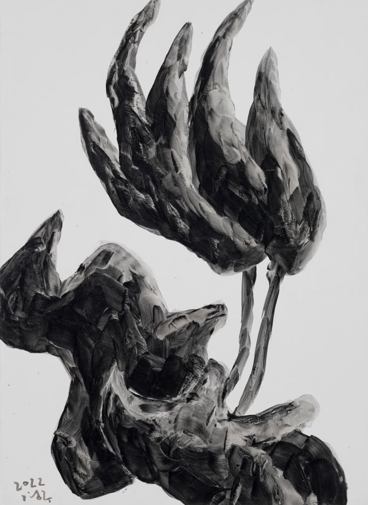 Kang Kyung-Koo 야상곡, 2022