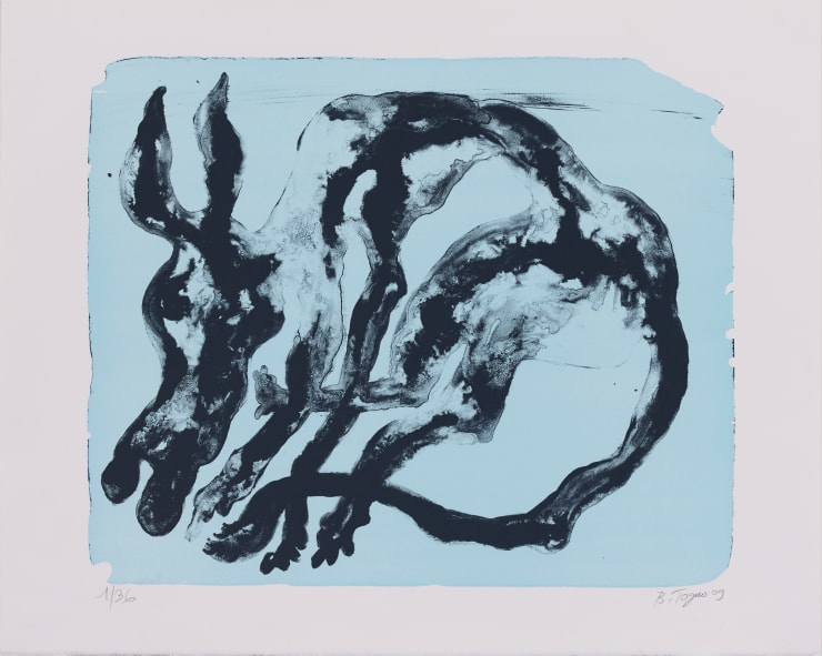 Barthélémy TOGUO BLURRY MEANING, 2009 ithography 60.5 x 76 cm Ed. 1/36 , 3/36