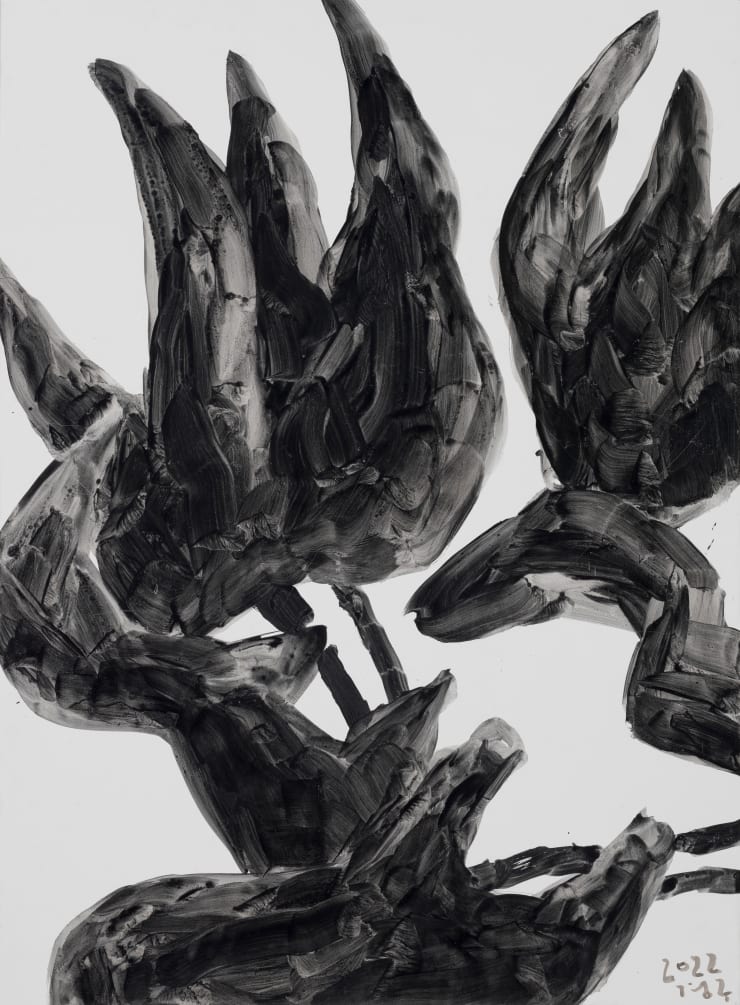 Kang Kyung-Koo 야상곡, 2022