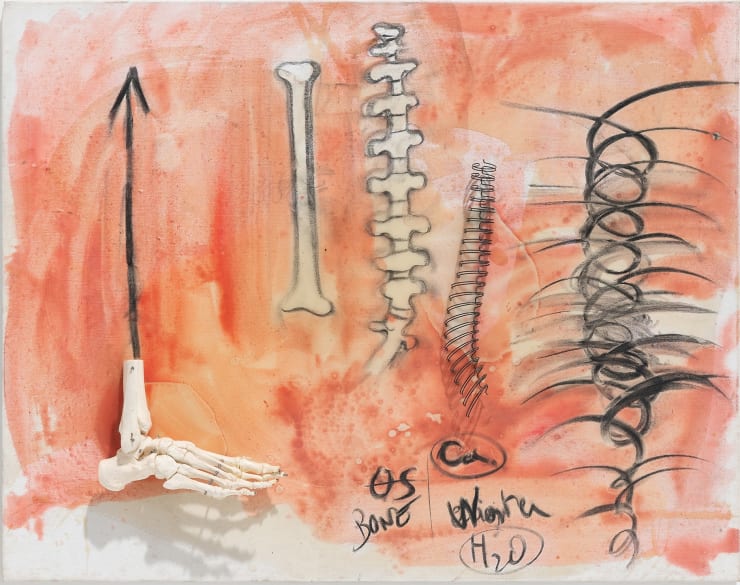 Fabrice Hyber Bone , 2014 oil, charcoal,resin, plastic and metal on canvas 70 x 90 x 9 cm