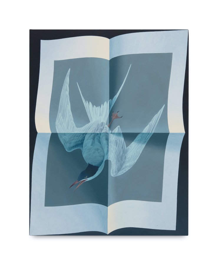 Olivia Jia Page unfolded (Audubon great tern), 2023