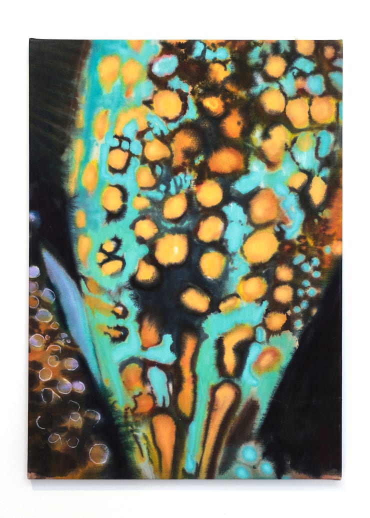 Hugo Canoilas, Remaining within, 2018