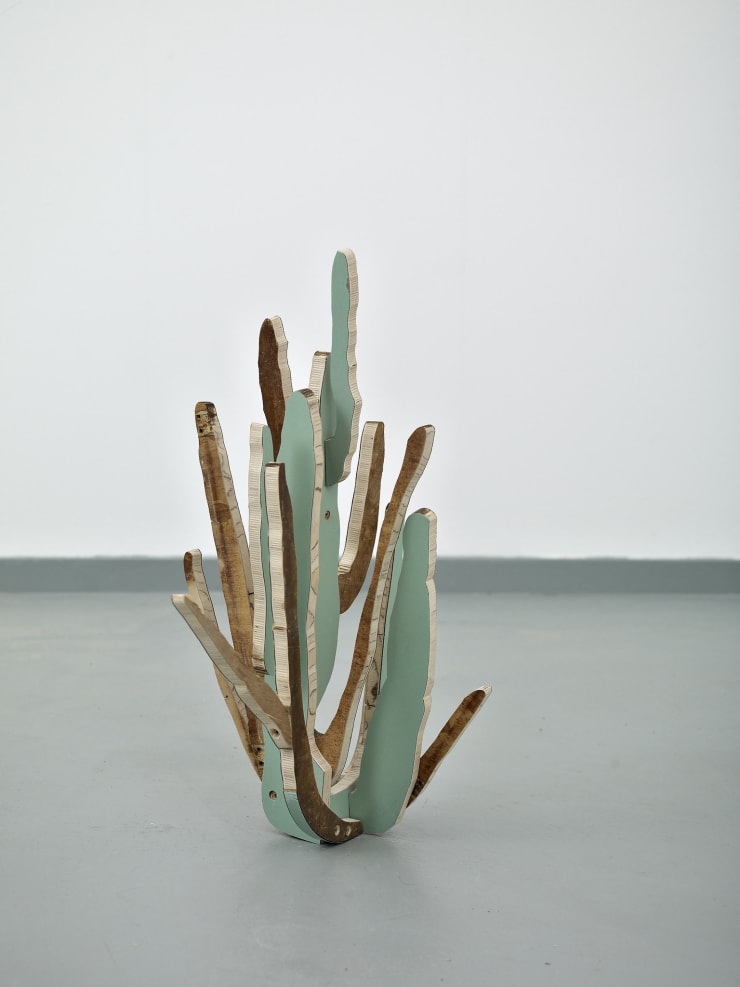 Paul Merrick, Cactus (Organ Pipe), 2014