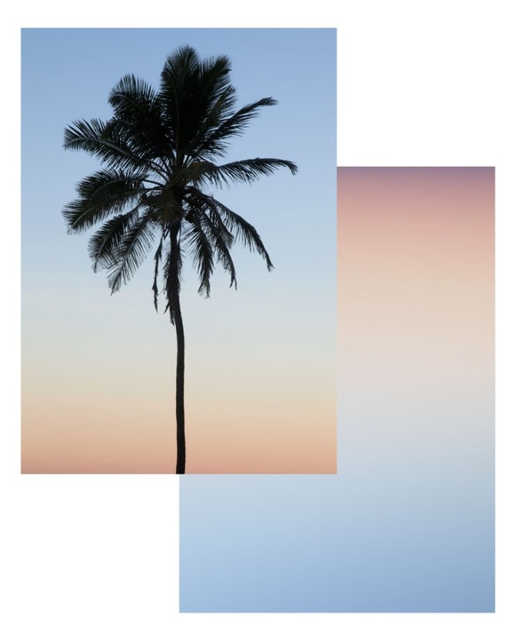 Joe Clark, A Tree. A Sunset, 2012