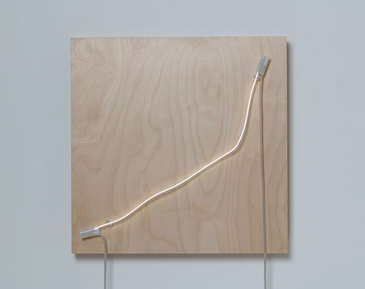 Exposed Form No.1