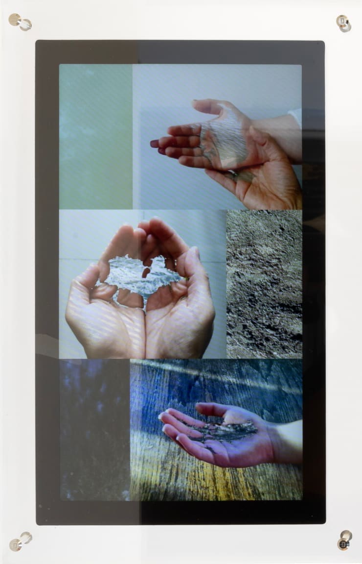 Katrina Bello, Lupain Series (Sophia, Kai, Kamilla), 2025