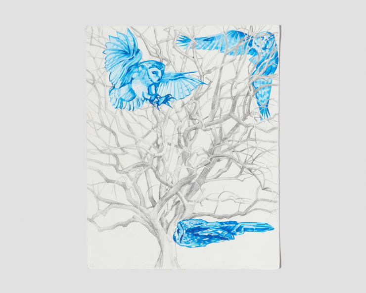 Nathan Budoff, Temporal (Naked Tree), 2018