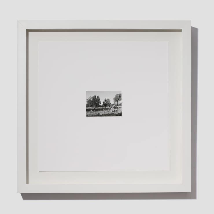 Jill O'Bryan, Mesa #3, 2021