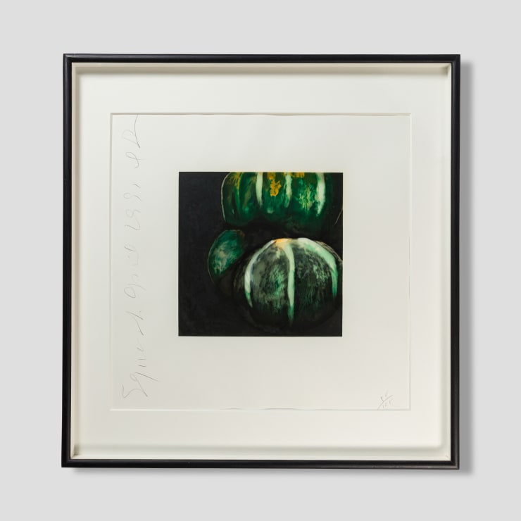 Donald Sultan, Squash from Fruits and Flowers, 1991