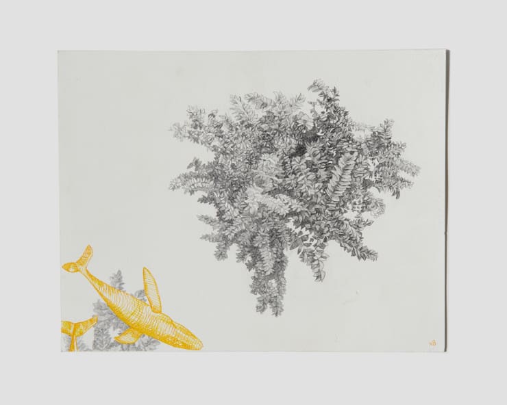 Nathan Budoff, From Above with Sharks, 2020