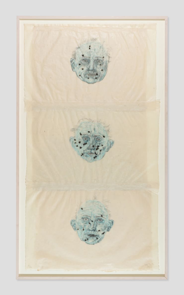 Kiki Smith, Constellations, 1996
