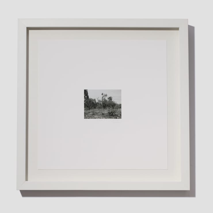 Jill O'Bryan, Mesa #9, 2021