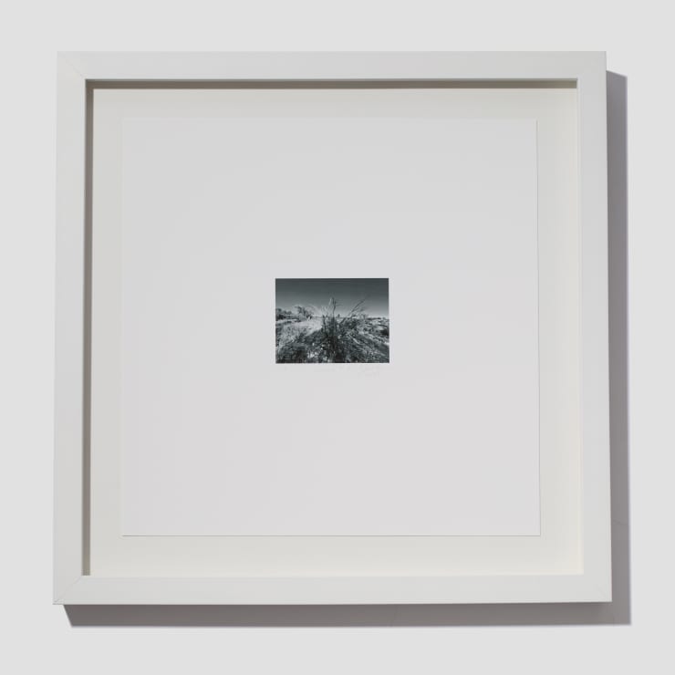 Jill O'Bryan, Mesa #57, 2021