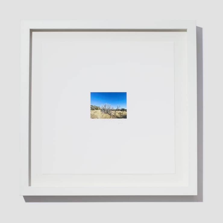 Jill O'Bryan, Mesa #59, 2022