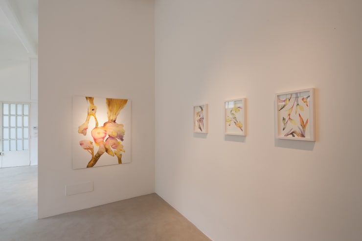 Isabella Nazzarri | Vita delle Forme, Instalaltion view