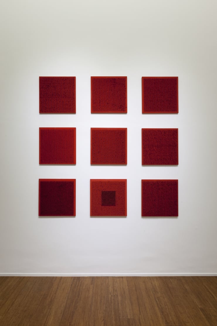 Bernard Aubertin, PIctorial situation of red, Installation view