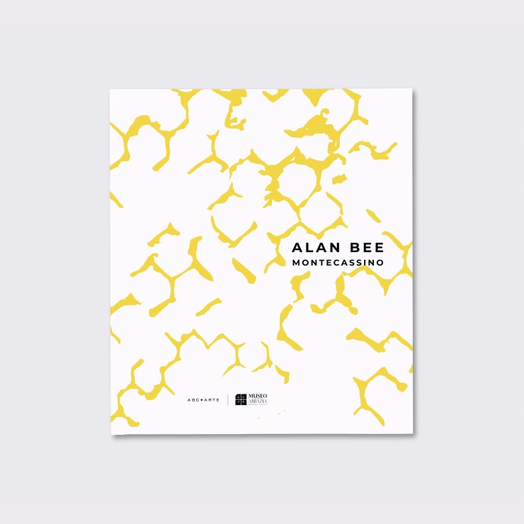 Alan Bee. Montecassino